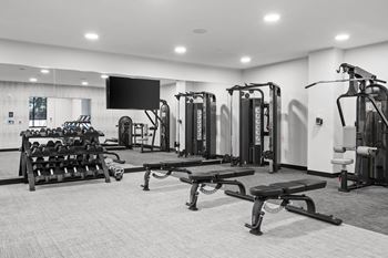 Free weights